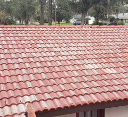 Orlando Roof Painting